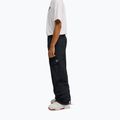 Pánske snowboardové nohavice DC Banshee black 5