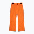 Detské snowboardové nohavice Quiksilver Estate vermillon 6