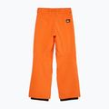 Detské snowboardové nohavice Quiksilver Estate vermillon 7