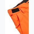 Detské snowboardové nohavice Quiksilver Estate vermillon 9