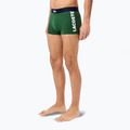 Pánske boxerky Lacoste 5H1291 3-pack thyme/navy blue/white 3