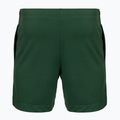 Pánske tenisové šortky Lacoste GH0138 green 2