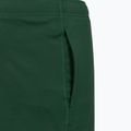 Pánske tenisové šortky Lacoste GH0138 green 5