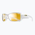 Slnečné okuliare Julbo Reactive Performance 2-4 zebra/blanc brilliant