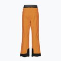 Picture Picture Object 20/20 Camel pánske lyžiarske nohavice MPT114 9