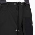 Pánske lyžiarske nohavice Picture Testy BIB 10/10 black 11