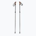Lyžiarske palice Elan Voyager Rod black CD907620
