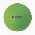 Schildkröt Pilatesball zelená 960132
