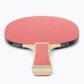 Donic-Schildkröt Appelgren 300 Súprava na stolný tenis 788634 3