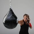 Boxovacia hruška Aqua Training Bag Punching Bag 18" black/silver 6