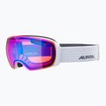 Lyžiarske okuliare Alpina Granby Q-Lite white gloss/blue sph 6