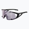 Slnečné okuliare Alpina Hawkeye Q-Lite V black matt/purple 5