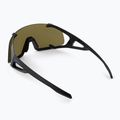 Slnečné okuliare Alpina Hawkeye Q-Lite black matt/silver mirror 2