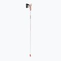 LEKI Passion strieborné palice na nordic walking 64925100