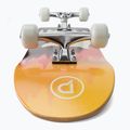 Playlife Mighty Bear klasický skateboard 880309 5