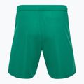 Detské futbalové šortky Capelli Sport Cs One Adult Match green/white 2