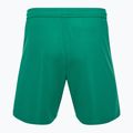 Pánske futbalové šortky Capelli Sport Cs One Adult Match green/white 2