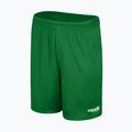 Detské futbalové šortky Capelli Sport Cs One Adult Match green/white 4