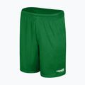 Pánske futbalové šortky Capelli Sport Cs One Adult Match green/white 4