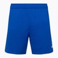 Capelli Sport Cs One Adult Futbalové šortky royal blue/white