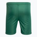 Detské futbalové šortky Capelli Sport Cs One Youth Match green/white 2