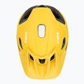 Cyklistická prilba UVEX Quatro Integrale sunbee/black 6