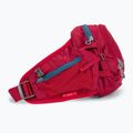 Ľadvinka deuter Pulse 3 cranberry 2