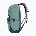 Batoh Deuter Walker 20 l jade/ivy city 5