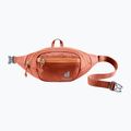 Ľadvinka detská deuter Belt 1 l chestnut 9