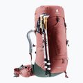 Dámsky trekingový batoh deuter Aircontact Lite 45 + 10 SL 55 l 334022352150 caspia/ivy 7