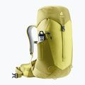 Turistický batoh dámsky Deuter AC Lite 22 l SL sprout/linden 5