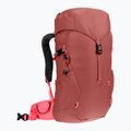 Turistický batoh detský Deuter Climber 22 l redwood/hibiscus 2