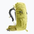 Turistický batoh detský Deuter Climber 22 l sprout/linden 3