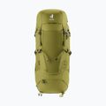 Trekking backpack deuter Aircontact Core 40 + 10 l cactus/ivy