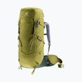 Trekking backpack deuter Aircontact Core 40 + 10 l cactus/ivy 5