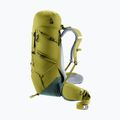 Trekking backpack deuter Aircontact Core 40 + 10 l cactus/ivy 7