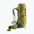 Trekking backpack deuter Aircontact Core 40 + 10 l cactus/ivy 8
