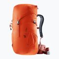 Turistički ruksak deuter Climber 22 l papaja/crvena drva 5