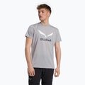 Pánske trekingové tričko Salewa Solidlogo Dry grey 00-0000027018