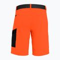 Pánske turistické šortky Salewa Pedroc Cargo 2 orange 26934 5