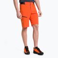 Pánske turistické šortky Salewa Pedroc Cargo 2 orange 26934