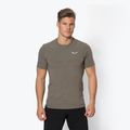 Salewa Lavaredo Hemp green pánske trekové tričko 00-0000028061