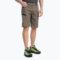 Salewa Lavaredo Hemp pánske turistické šortky hnedé 00-0000028033