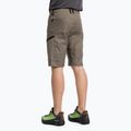 Salewa Lavaredo Hemp pánske turistické šortky hnedé 00-0000028033 3