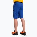Pánske turistické šortky Salewa Agner Light modré 00-0000027380 3