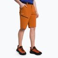 Salewa pánske trekingové šortky Puez 3 orange 00-0000027401