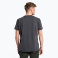 Pánske trekingové tričko Salewa Pure Box Dry grey 00-0000028378 3