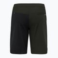 Salewa Lavaredo Hemp Ripstop pánske lezecké šortky čierne 00-0000028552 6