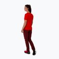 Dámske trekingové nohavice Salewa Pedroc 4 DST burgundy 00-0000028594 4