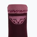 Bežecké ponožky DYNAFIT Transalper burgundy 4